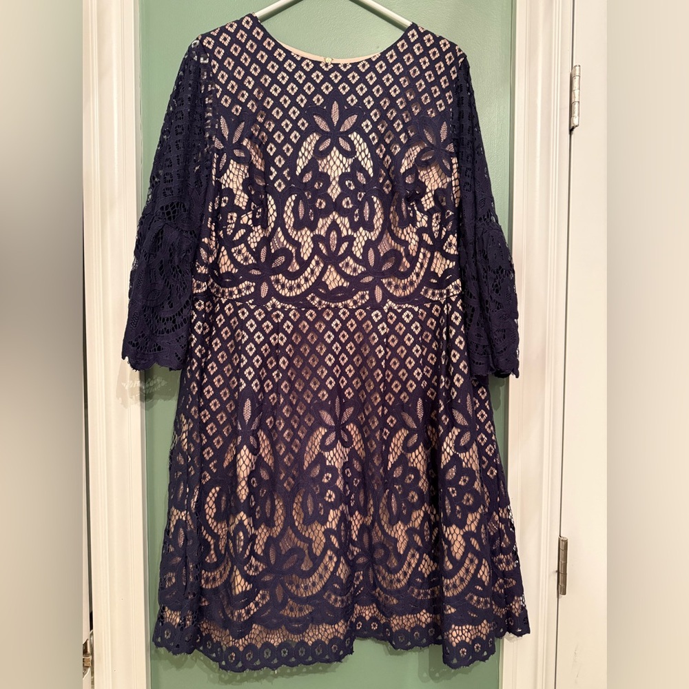 Eliza J Cream Dress with Navy Lace